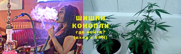 дживик Богородицк