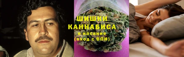 дживик Богородицк