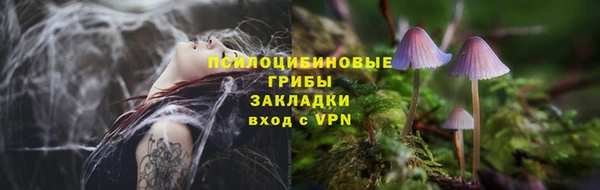 COCAINE Богородск