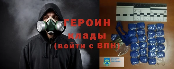 дживик Богородицк