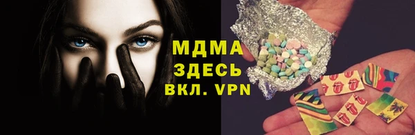 дживик Богородицк