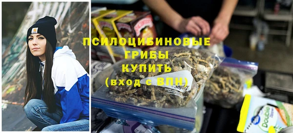 дживик Богородицк