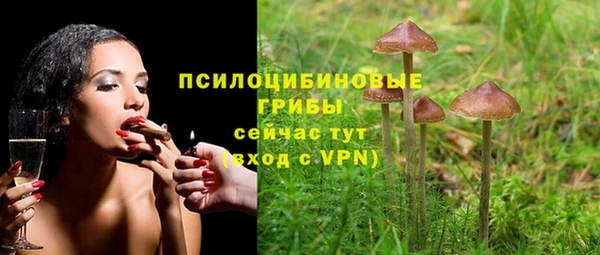 COCAINE Богородск