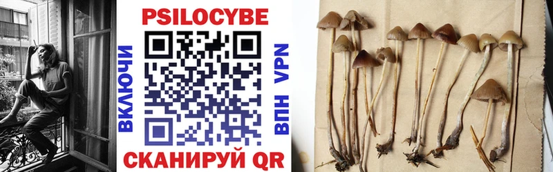 Купить закладки  Кимры  Галлюциногенные грибы Magic Shrooms 